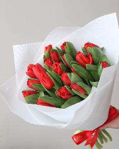 Červená kytica tulipánov L